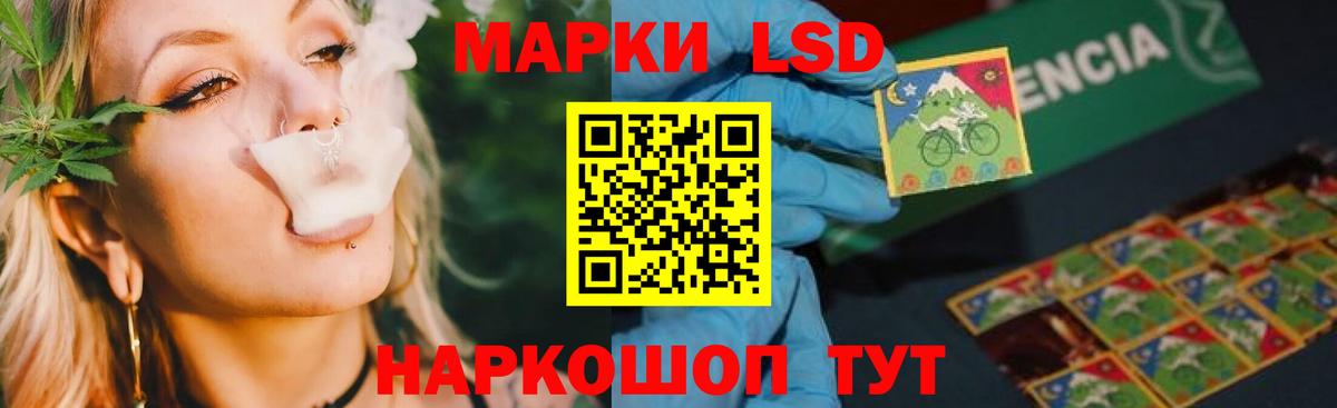 Альфа ПВП Сегежа